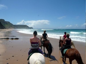 Horse riding Algarve