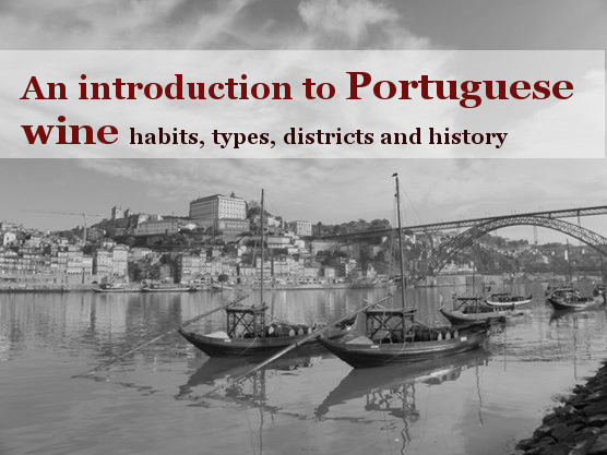 an introduction to Portuguese wine
