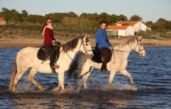 Beach horse riding Alentejo