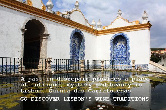 Discovering the Wines of Lisbon, Quinta das Carrafouchas
