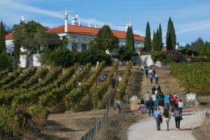 Monte da Ravasqueira, Wine events and coach museum, Evora
