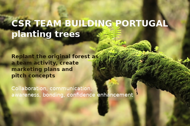 CSR reforesting Portugal, Team buiding