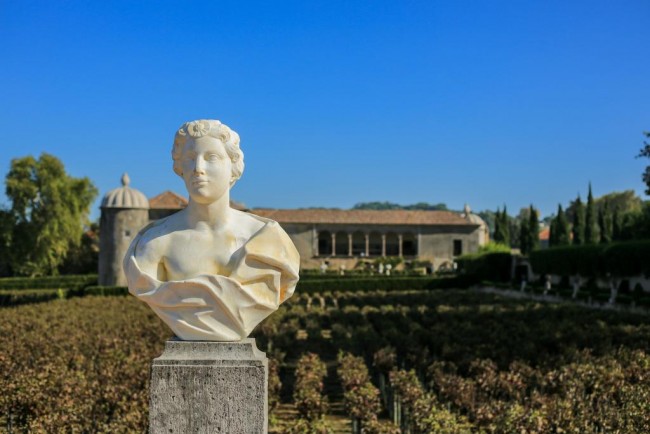 Quinta da Bacalhoa, Setubal wine