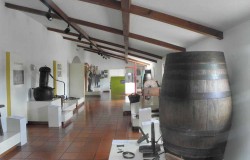 Rural museum, Cartaxo