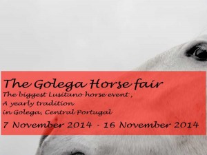 The Golega Horse fair 2015 coming up again in November!