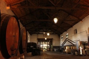 wine tasting and events Adega Viuva Gomes