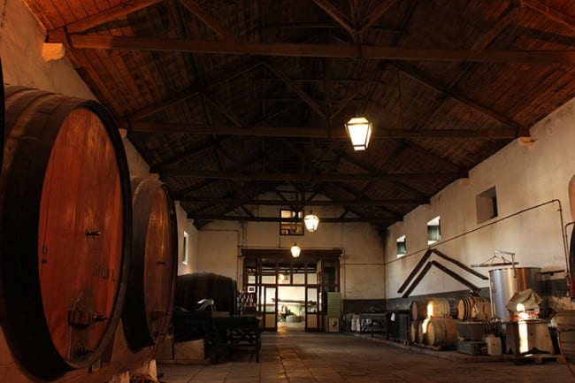wine tasting and events Adega Viuva Gomes