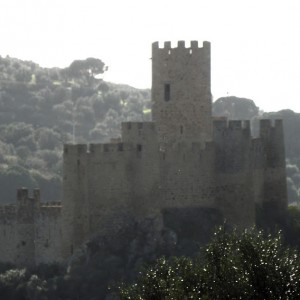 Almourol castle in the Tejo