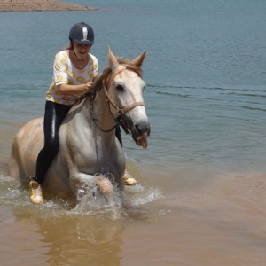 Horse riding Algarve