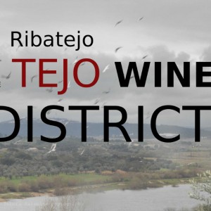 The Tejo wine district