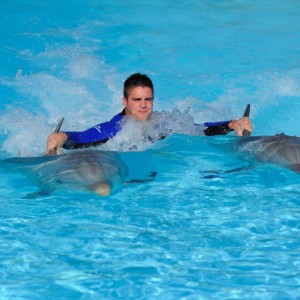 Dolphin emotions Algarve