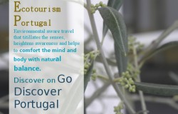 Ecological tourism in Portugal, luxurious, authentic and aware discoveries