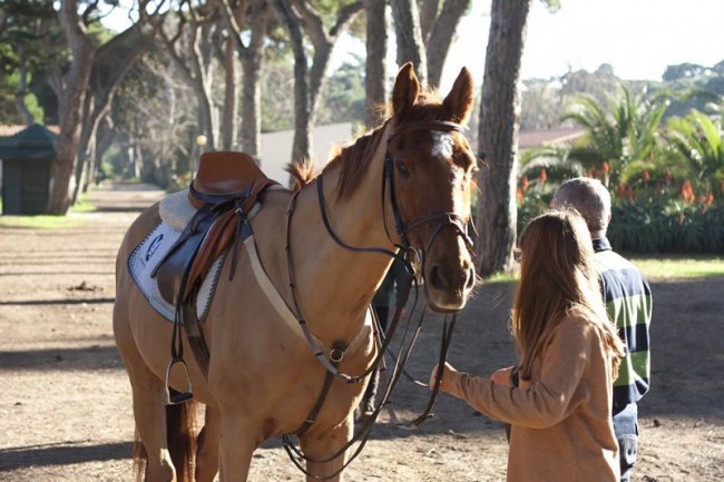 Horse riding Cascais