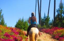 O Vale dos Cavalos, horse riding trails and holidays Tomar, Central Portugal