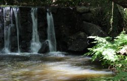 Ribeira da Foz, hike to a hidden ancient water paradise