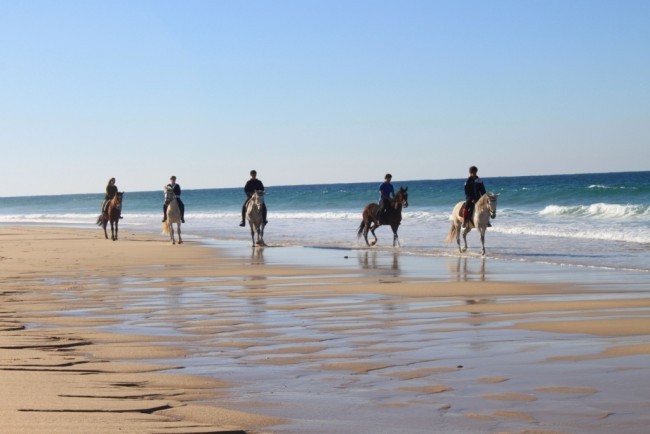 Passeios a cavalo na praia, Melides, Setúbal