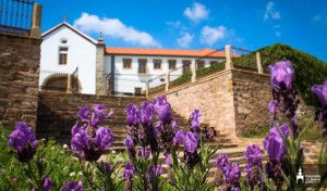 Convent of Sertã Hotel
