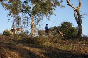 Passeios a cavalo na montanha, Setúbal