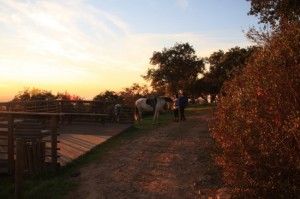 Passeios a cavalo na montanha, Setúbal