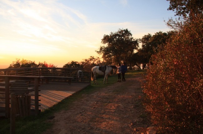 Passeios a cavalo na montanha, Setúbal