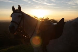 Passeios a cavalo na montanha, Setúbal