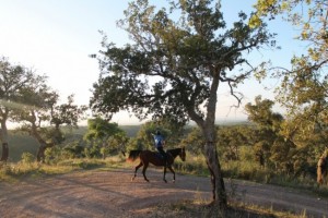 Passeios a cavalo na montanha, Setúbal