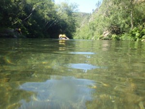 Canoeing Paiva river