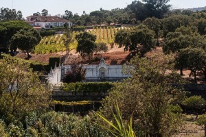 Quinta das Carrafouchas wine events Lisbon