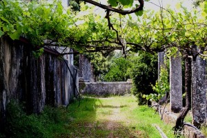 Quinta das Carrafouchas