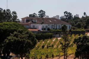Quinta das Carrafouchas wine events Lisbon