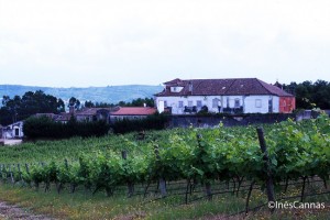 Quinta das Carrafouchas wine events Lisbon