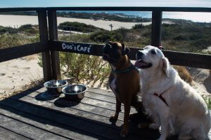 Restaurante Duna da Cresmina, Guincho, Cascais