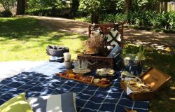 Picnic in Lisbon, executive picnics and private events