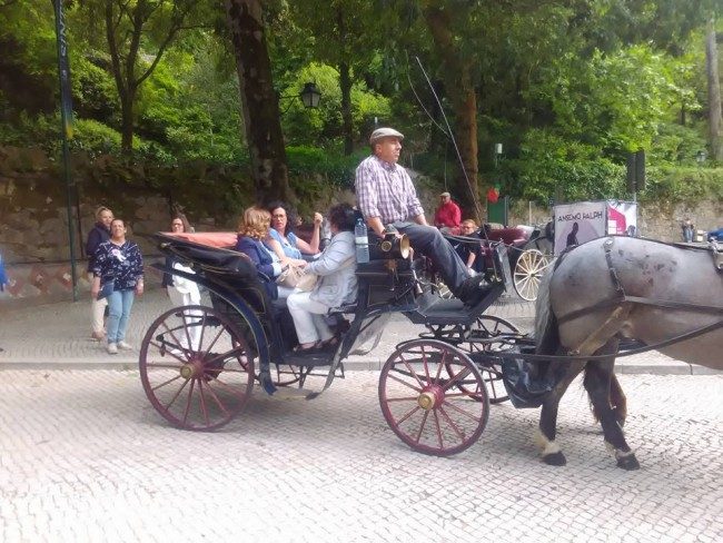 Horse drawn carriage tours and events, Sintra