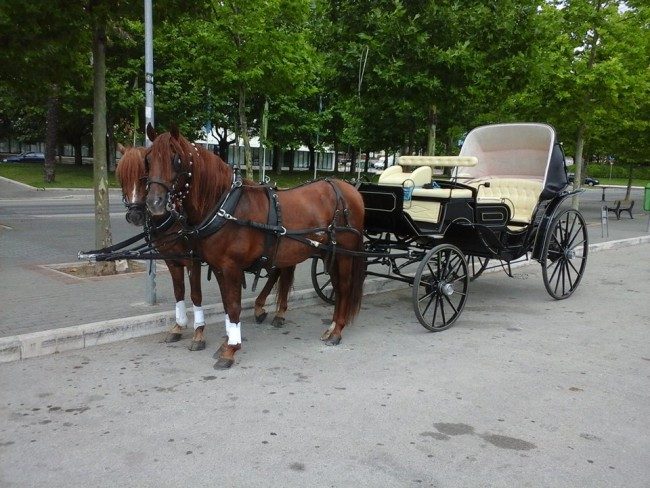 Horse drawn carriage tours and events, Sintra