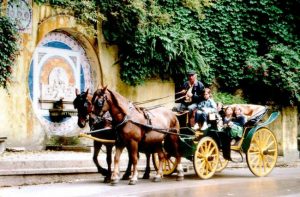 Horse drawn carriage tours and events, Sintra