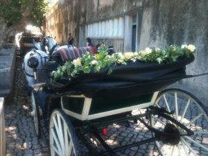 Horse drawn carriage tours and events, Sintra