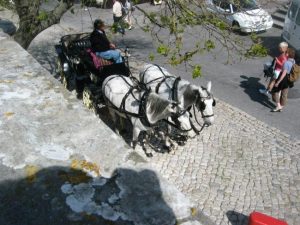 Horse drawn carriage tours and events, Sintra