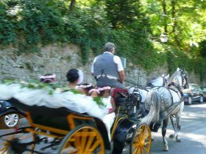 Horse drawn carriage tours and events, Sintra