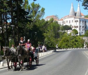 Horse drawn carriage tours and events, Sintra