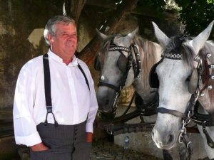 Horse drawn carriage tours and events, Sintra