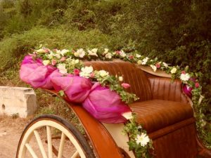 Horse drawn carriage tours and events, Sintra