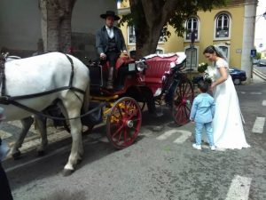 Horse drawn carriage tours and events, Sintra