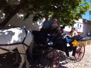 Horse drawn carriage tours and events, Sintra