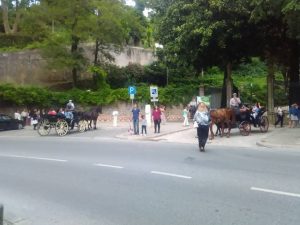 Horse drawn carriage tours and events, Sintra