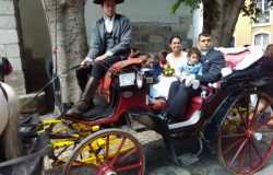 Horse carriage tours and events, Sintra