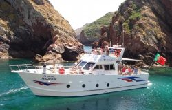 Boat tours Berlengas Islands from Peniche for groups