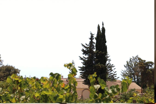 Quinta dos Vales, wines, Algarve