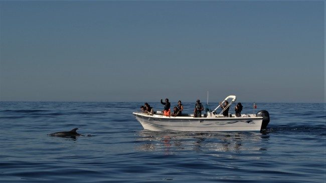 Boat tours, Dolphin watching, Sport fishing, Faro, Algarve