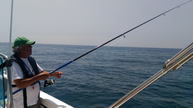 Boat tours, Dolphin watching, Sport fishing, Faro, Algarve
